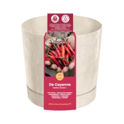 Dyrkesett paprika De Cayenne