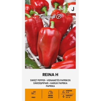 Paprika SWEET REINA H