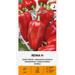Paprika SWEET REINA H