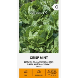 Salatfrø CRISP MINT