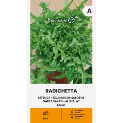 Salatfrø RADICHETTA