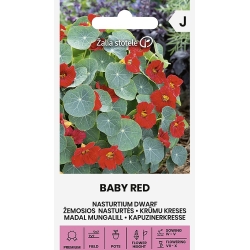 Blomkarse BABY RED