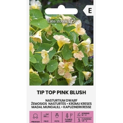 Blomkarse TIP TOP PINK BLUSH