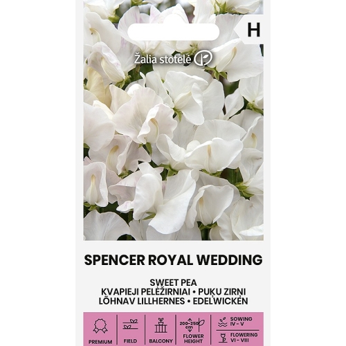 Blomsterert SPENCER ROYAL WEDDING