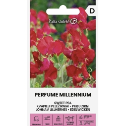 Blomsterert PERFUME MILLENNIUM