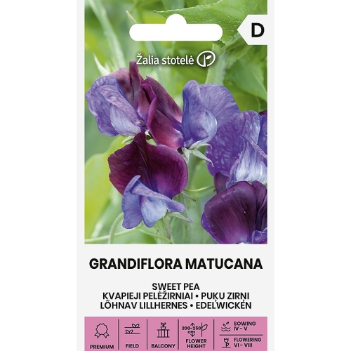 Blomsterert GRANDIFLORA MATUCANA