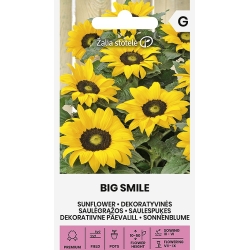 Solsikke BIG SMILE