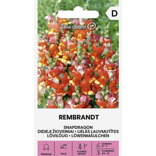 Prydløvemunn REMBRANDT