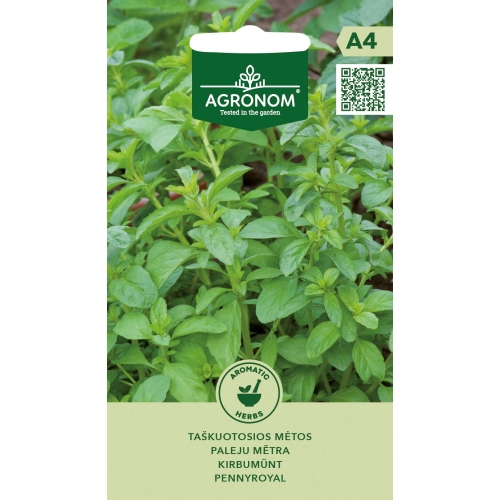 Poleimynte PENNYROYAL