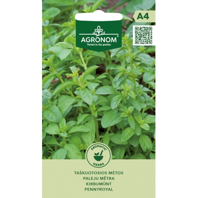 Poleimynte PENNYROYAL