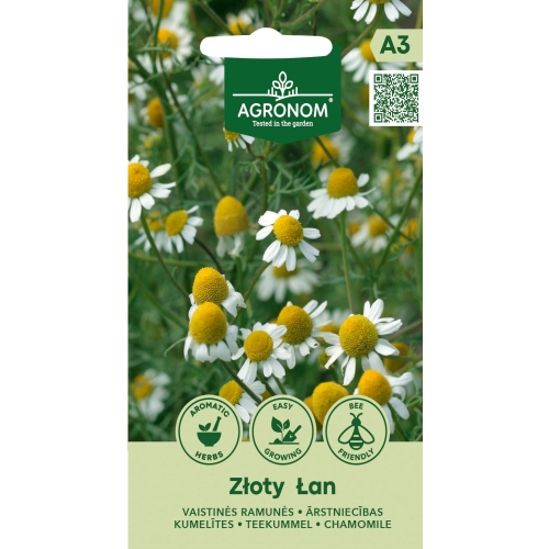 Kamille ZLOTY LAN