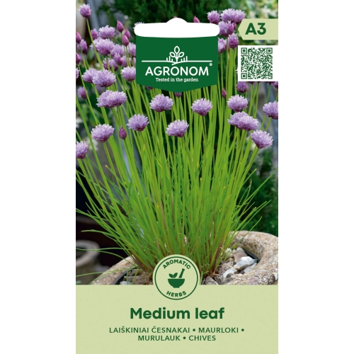 Hvitløk MEDIUM LEAF