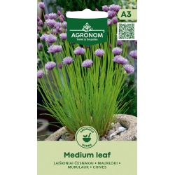 Hvitløk MEDIUM LEAF