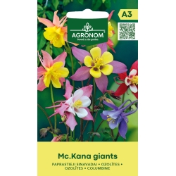 Pastellakeleie MC.KANA GIANTS