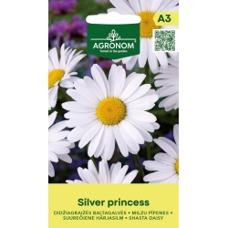 Kjempekrage frø SILVER PRINCESS