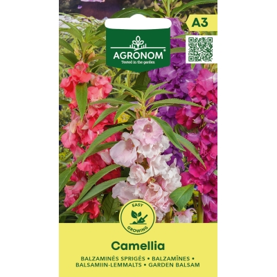 Lisespringfrø CAMELLIA BALSAM