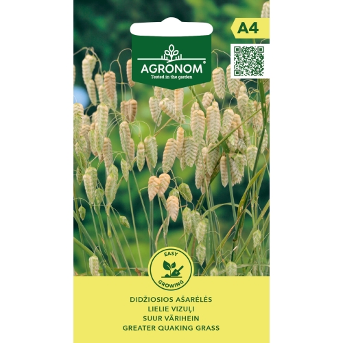 Hjertegress stor frø