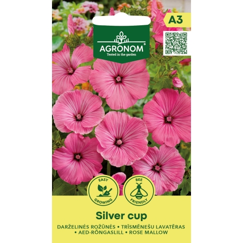 Hagepoppelrose SILVER CUP
