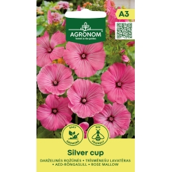 Hagepoppelrose SILVER CUP