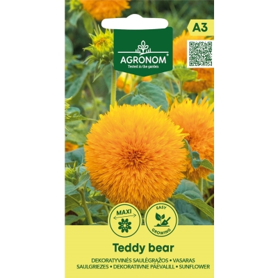 Dekorative solsikker TEDDY BEAR