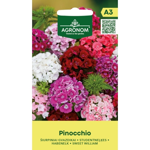 Busknellik PINOCCHIO