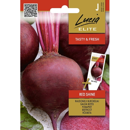 Rødbete RED SHINE PREMIUM
