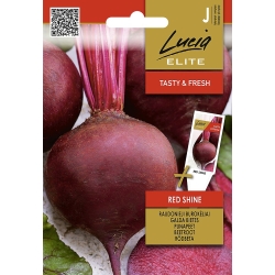 Rødbete RED SHINE PREMIUM