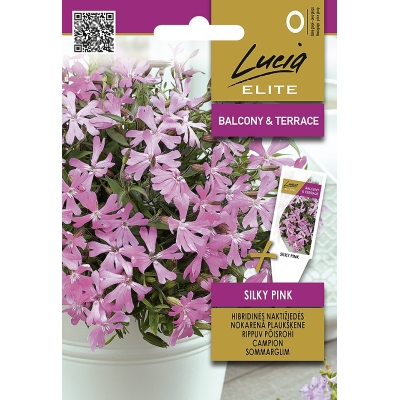 Hybridnattlys Silky Pink