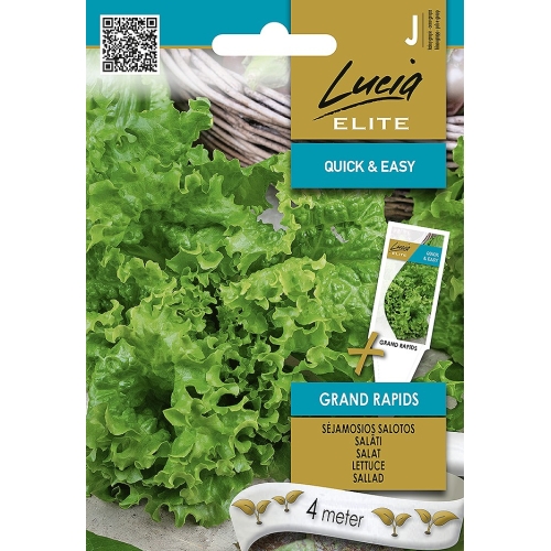 Salatfrø GRAND RAPIDS LUCIA