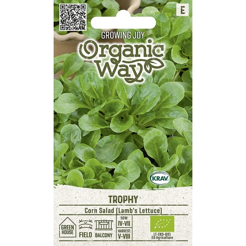 Salatfrø CORN TROPHY