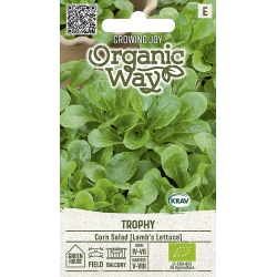 Salatfrø CORN TROPHY