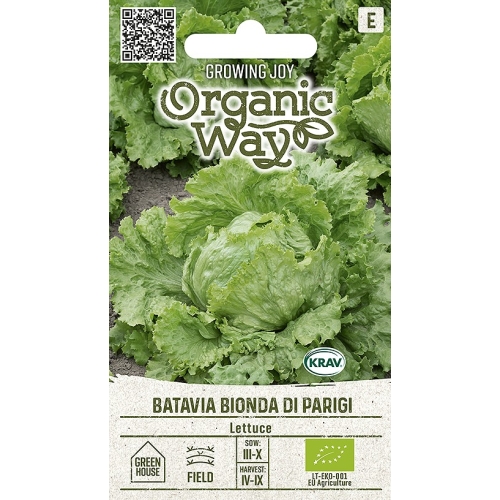 Salat BATAVIA BIONDA DI PARIGI