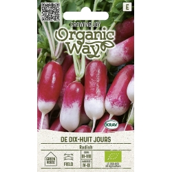 Reddik DE DIX-HUIT JOURS