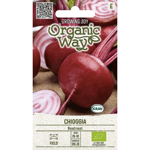 Rødbete CHIOGGIA ORGANIC