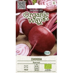 Rødbete CHIOGGIA ORGANIC