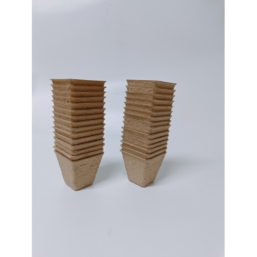 Forkultiveringsportter Kvadratiske 6cm, 10stk