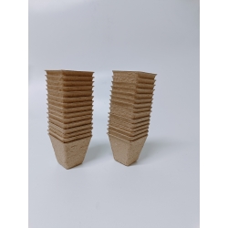 Forkultiveringsportter Kvadratiske 6cm, 10stk