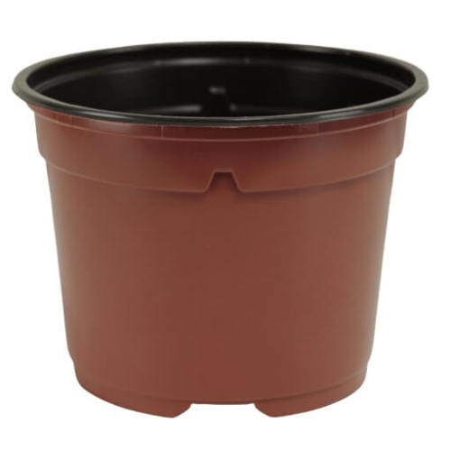 Plastpotte For Småplanter 13cm brun
