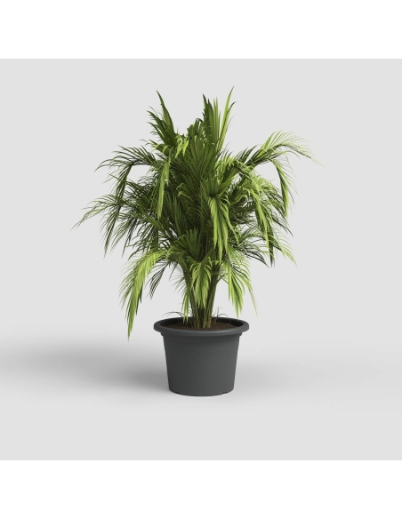 Blomsterpotte CYLINDER SVART 25x18CM