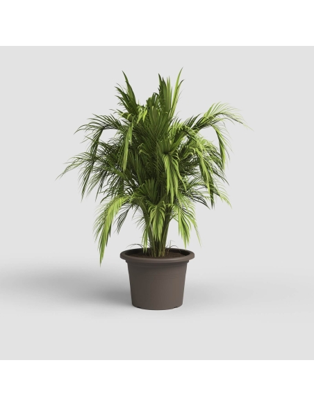 Blomsterpotte brun 30x21CM (ARTEVASI)