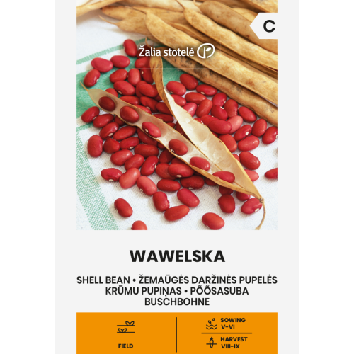 Bønnerfrø Wawelska