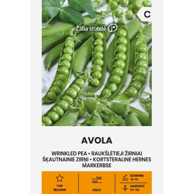 Erter AVOLA