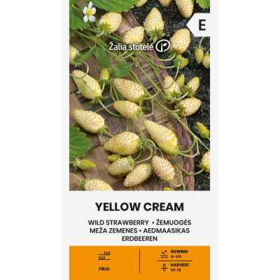 Markjordbær YELLOW CREAM