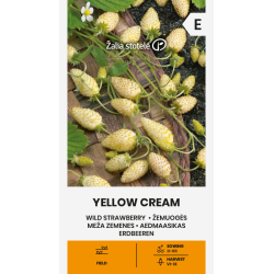 Markjordbær YELLOW CREAM