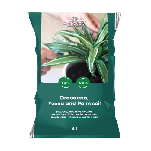 Dracaena-palmerjord 4L PREMIUM