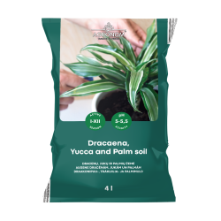 Dracaena-palmerjord 4L PREMIUM
