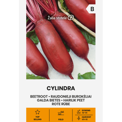 Rødbete CYLINDRA