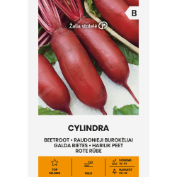 Rødbete CYLINDRA