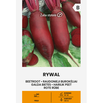 Rødbeter RYWAL