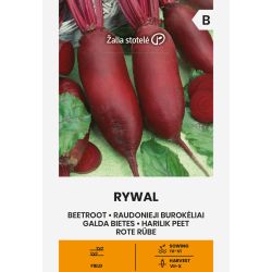 Rødbeter RYWAL